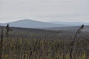slides/150817_058_a.html