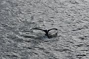 slides/150822_090_a.html