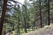 slides/150825_023_a.html