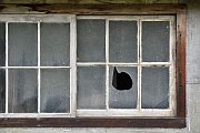 slides/150817_072_a.html