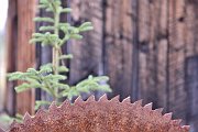 slides/150817_104_a.html