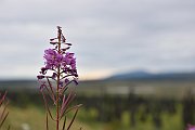 150816_214_a.JPG