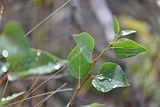 slides/150819_019_a.html