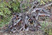 slides/150819_025_a.html