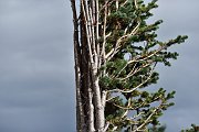 slides/150819_065_a.html