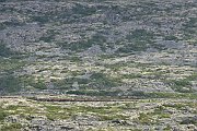 slides/150819_093_a.html