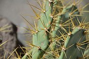 slides/130106_031_a.html