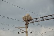 slides/140611_006_a.html