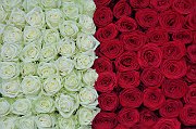 slides/140612_018_a.html