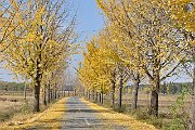 slides/151027_041_a.html