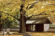 slides/151027_074_a.html