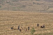 slides/151020_066_a.html