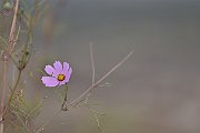 slides/151020_182_a.html