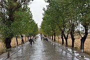 slides/151021_115_a.html