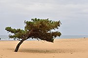 slides/151022_016_a.html