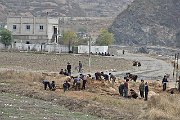 slides/151023_083_a.html