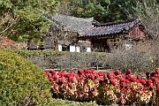 slides/151024_046_a.html