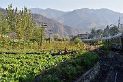 slides/151024_065_a.html