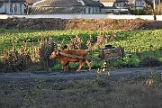 slides/151024_107_a.html