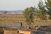 slides/151024_135_a.html