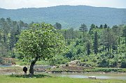 slides/140607_018_a.html