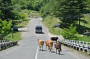 slides/140607_025_a.html