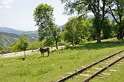 slides/140609_035_a.html