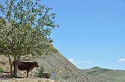 slides/140613_042_a.html