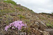 slides/130624_022_a.html