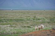 slides/130624_026_a.html