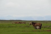 slides/130624_029_a.html