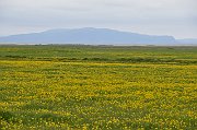 slides/130624_036_a.html