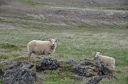 slides/130624_054_a.html