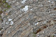slides/130625_003_a.html