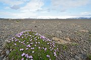 slides/130625_057_a.html