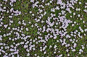 slides/130625_061_a.html
