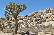 slides/140923_029_a.html