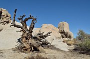 slides/140923_058_a.html