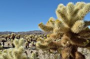 slides/140923_063_a.html
