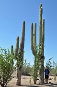 slides/140924_005_a.html