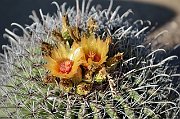 slides/140924_017_a.html