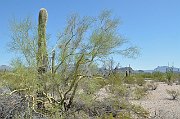 slides/140925_008_a.html