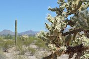 slides/140925_010_a.html