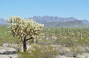 slides/140925_028_a.html