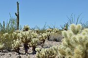 slides/140925_034_a.html