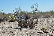 slides/140925_036_a.html