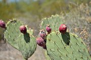 slides/140925_038_a.html