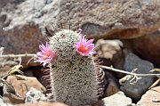 slides/140925_041_a.html