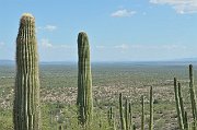 slides/140925_051_a.html