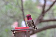 slides/140926_018_a.html